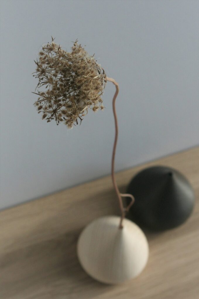 som fremmer vores opfattelse af biodiversitet ved at kultivere opmærksomheden på og i naturen